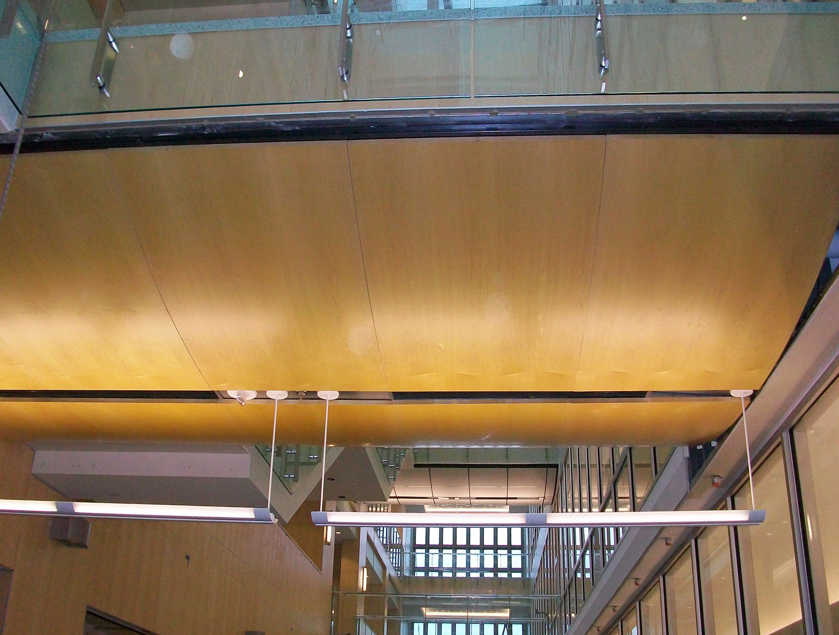 The Vault Curved Torsion Spring Metal Ceiling System